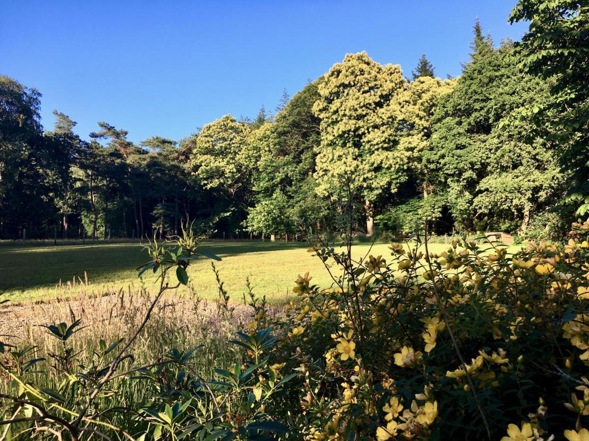 B&B En Boshuis Darthuizerpoort 莱尔瑟姆 外观 照片