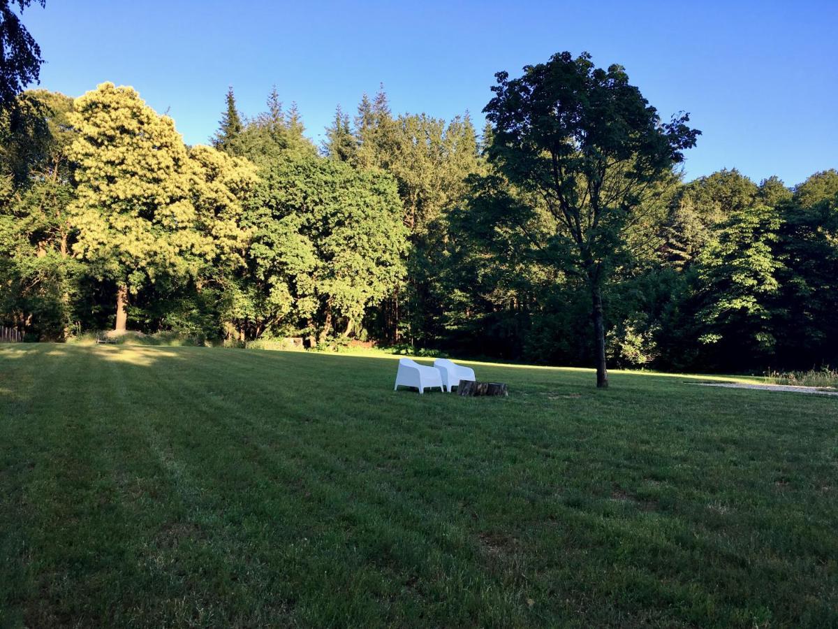 B&B En Boshuis Darthuizerpoort 莱尔瑟姆 外观 照片