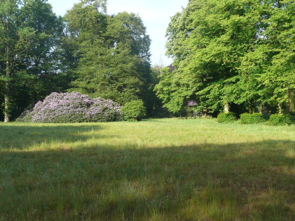 B&B En Boshuis Darthuizerpoort 莱尔瑟姆 外观 照片